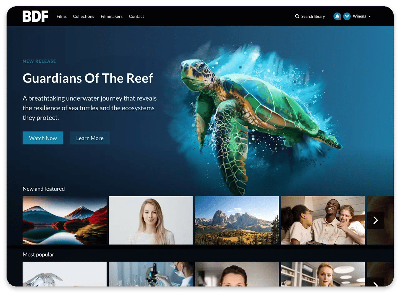 Film Homepage