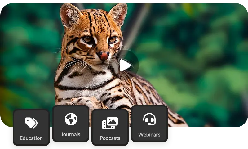 content-we-support content-we-support